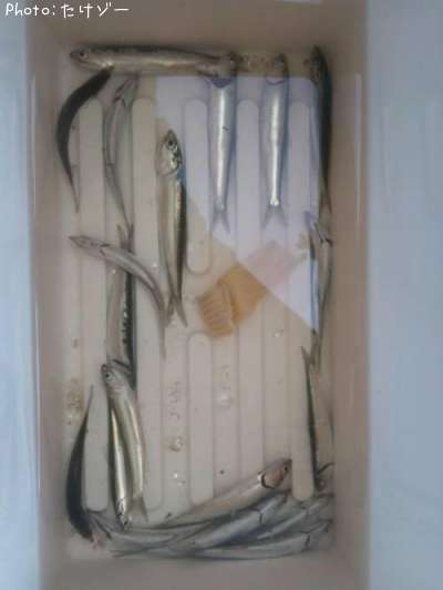 �����������亮