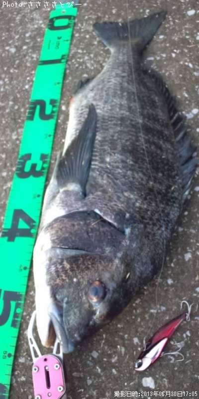 �������������쥤