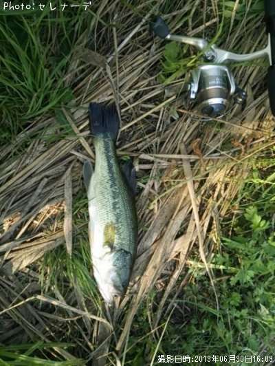 �֥�å��Х�