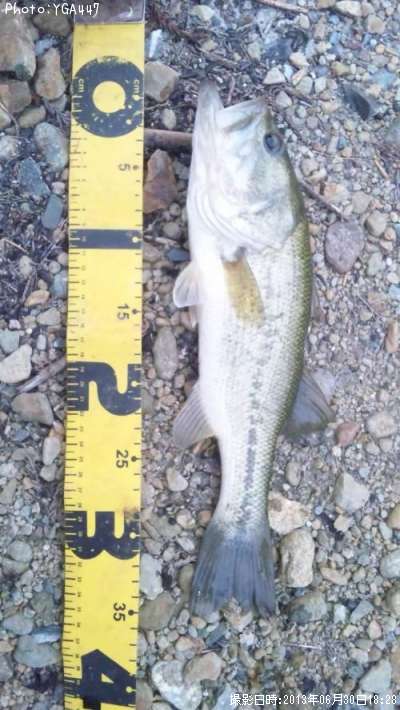 �֥�å��Х�