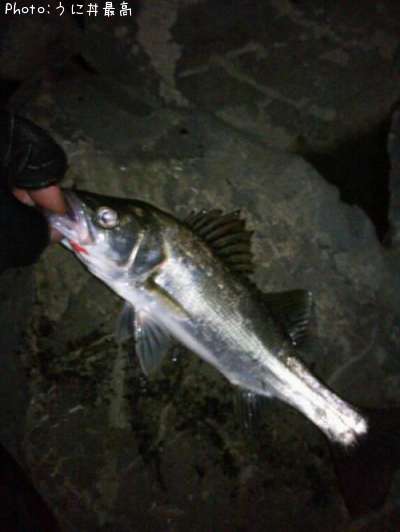 �����Х�