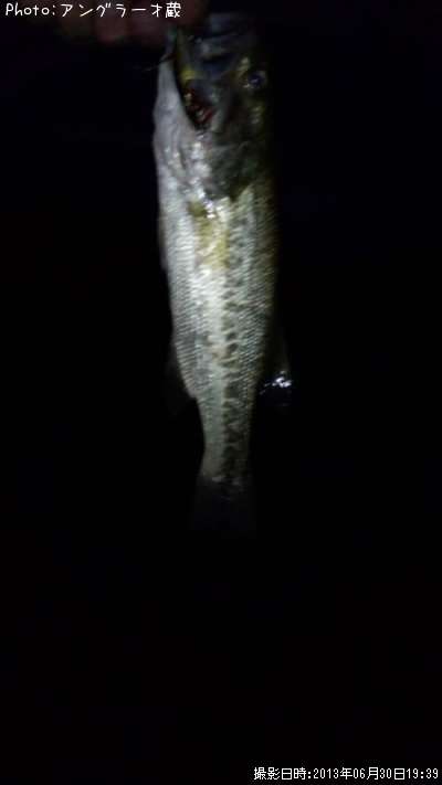 �֥�å��Х�