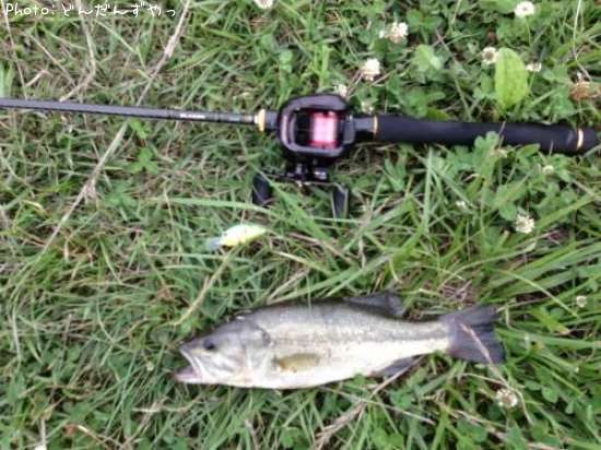 �֥�å��Х�