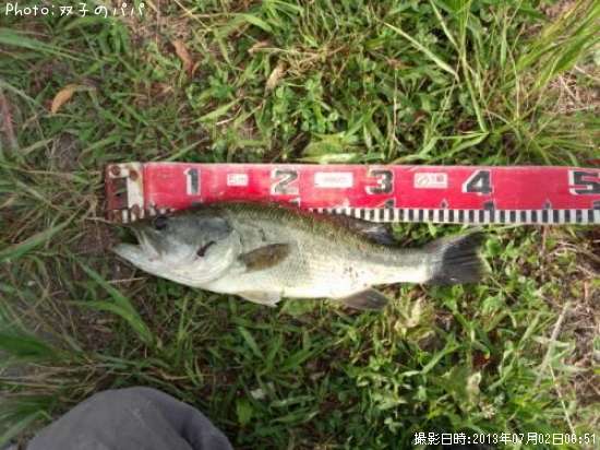 �֥�å��Х�