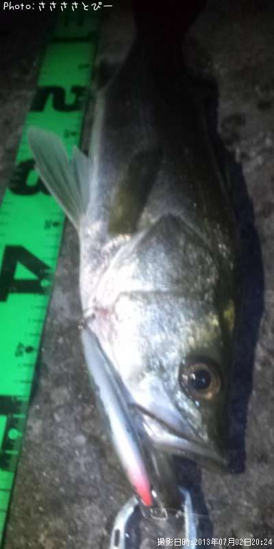 �����Х�