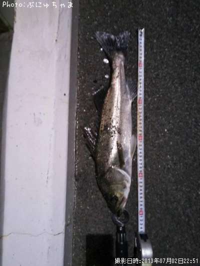 �����Х��ʾС�