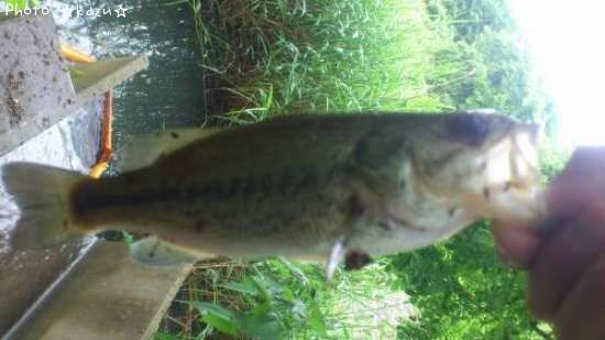 �֥�å��Х�