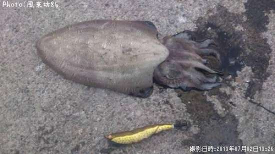 ��󥴥�����