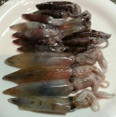 �ҥ�������ꥤ��