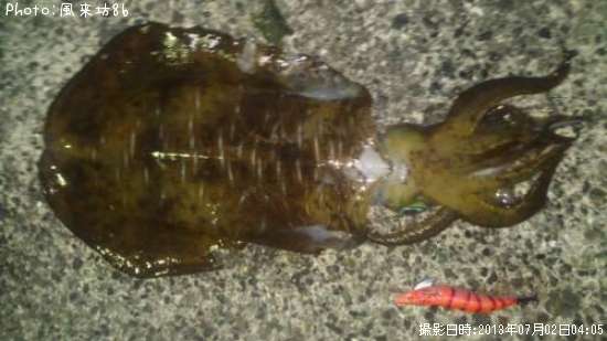 �����ꥤ��