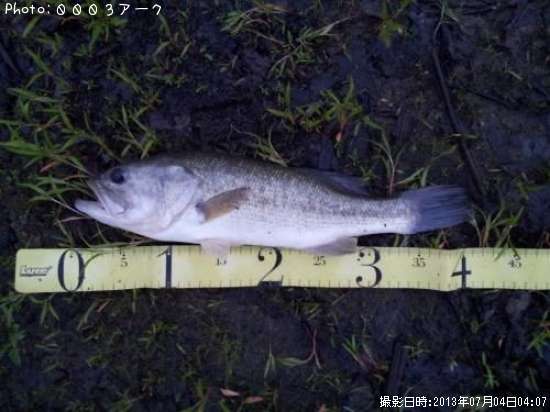 �֥�å��Х�