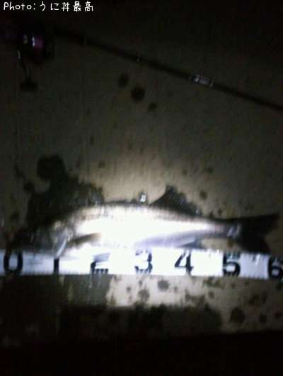 �����Х�