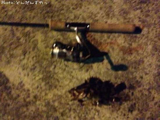 �����Υ���Х�