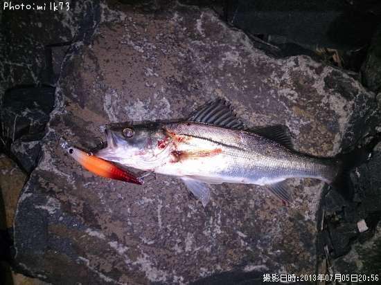 �����Х�