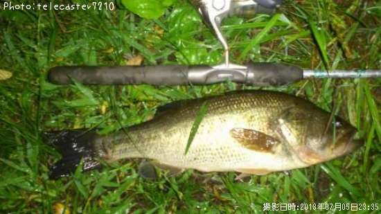 �֥�å��Х�