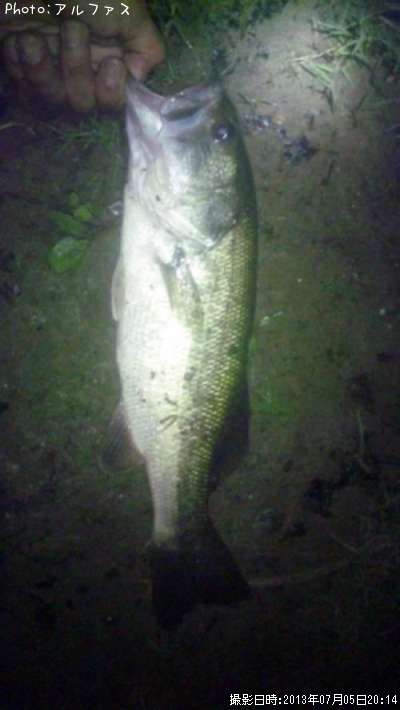 �֥�å��Х�