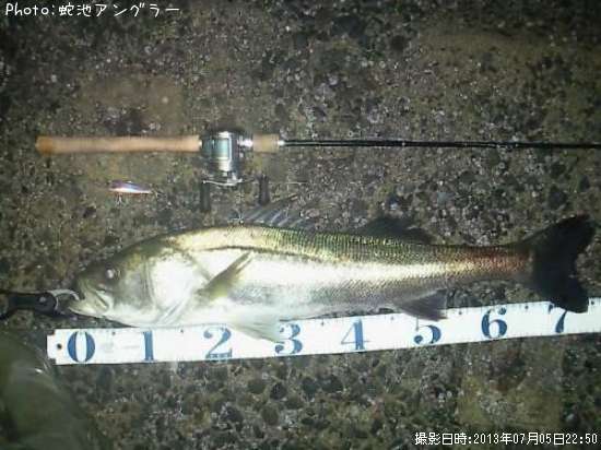 �����Х�