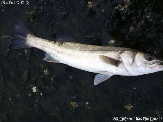 �����Х�