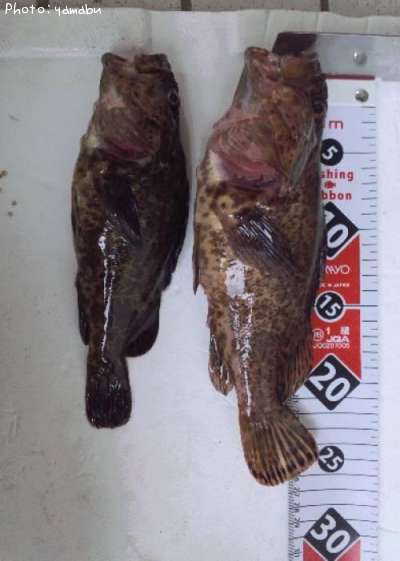 �����Υ���Х�