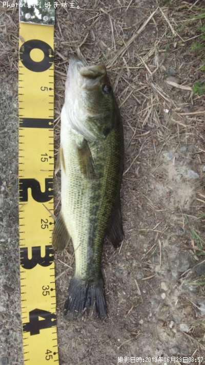 �֥�å��Х�