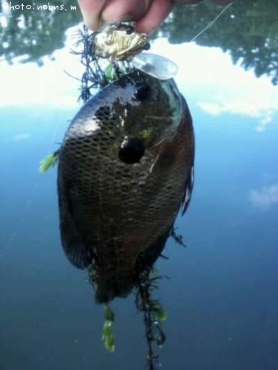 �֥롼����