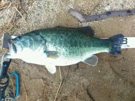 �֥�å��Х�