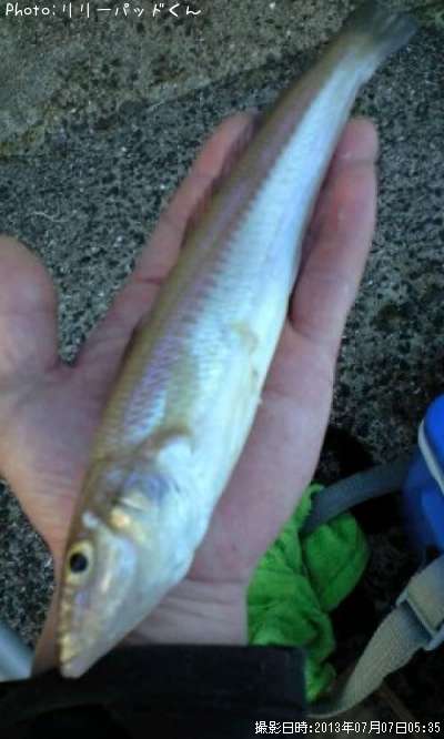 �ѡ���ԥ󥯤ε��ؿ͡�������Ͽ�á�