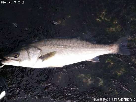 �����Х�