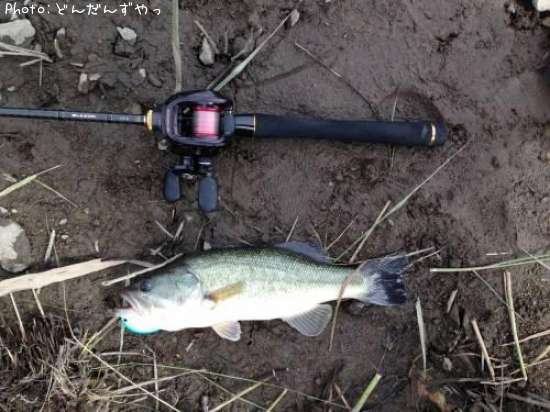 �֥�å��Х�