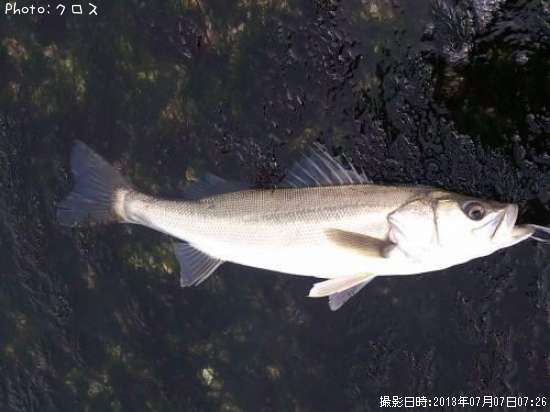 �����Х�