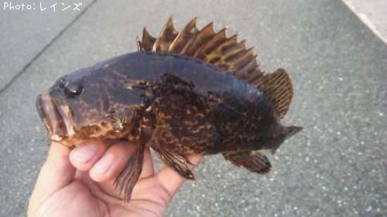 �����Υ���Х�