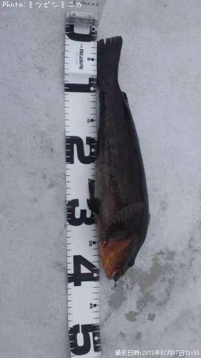 �����ʥ�