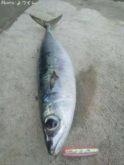 ���ޥ���