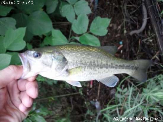 �֥�å��Х�