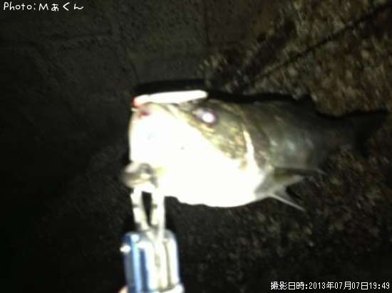 �����Х�