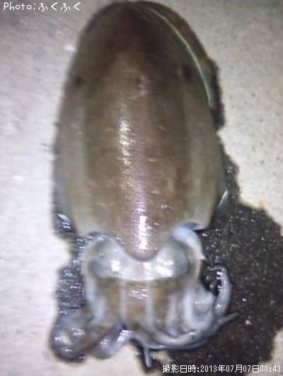 ��󥴥�����