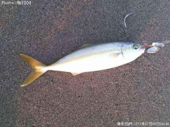 �����å�