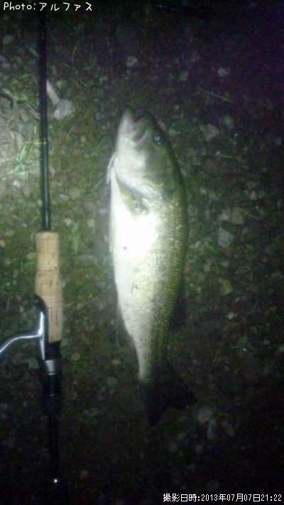 �֥�å��Х�