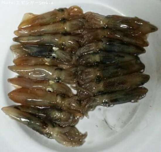 �ҥ���