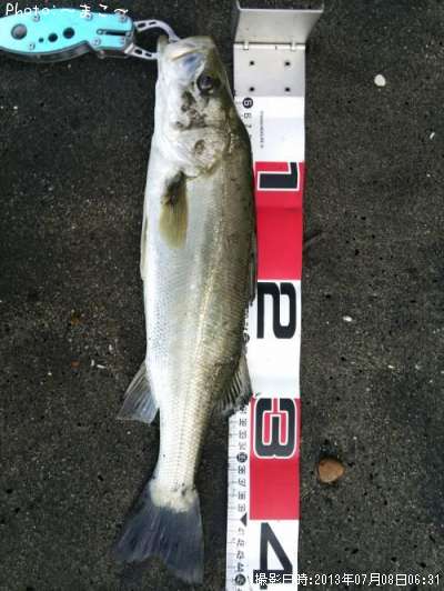 �����Х�