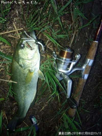 �顼���ޥ����Х�