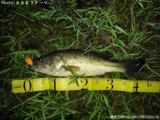 �֥�å��Х�