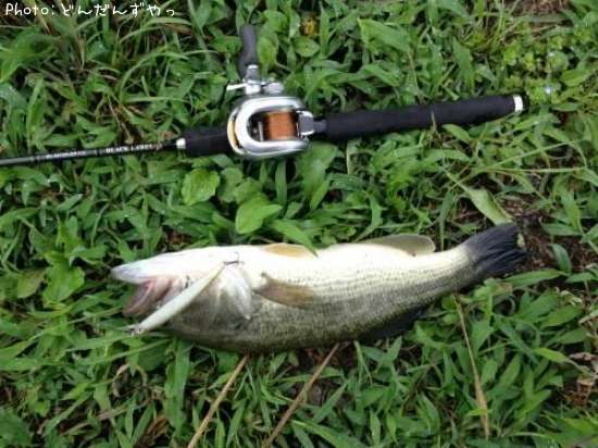 �֥�å��Х�