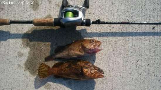 �������������Υ�