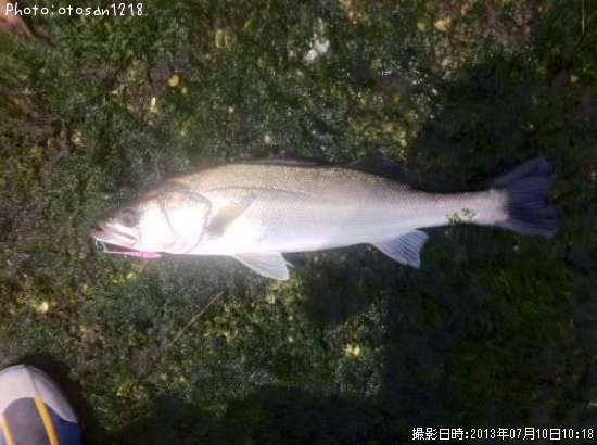 �����Х�