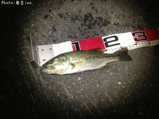 �֥�å��Х�