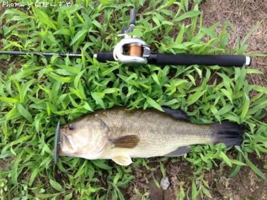 �֥�å��Х�