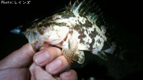 �������������Υ�