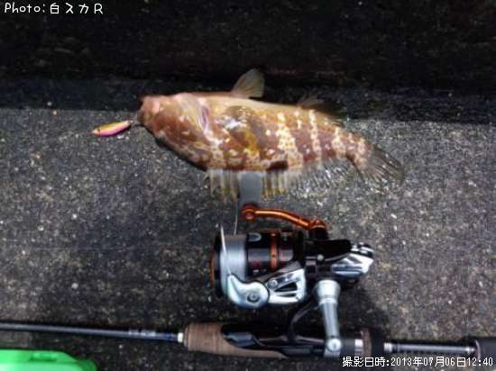 �����ϥ�