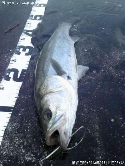 �����Х�